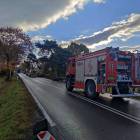Fotka nr 2 z 13