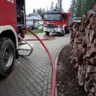 Fotka nr 2 z 4