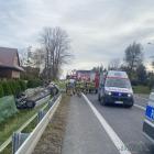 zdjęcie nr 7