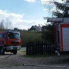 Fotka nr 3 z 10