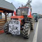 zdjęcie nr 11