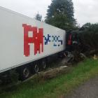 zdjęcie nr 9