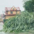 zdjęcie nr 9