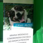 zdjęcie nr 11