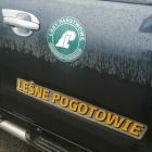 zdjęcie nr 9