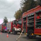 Fotka nr 2 z 14