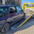 Fotka nr 5 z 7