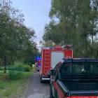 zdjęcie nr 8