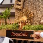 zdjęcie nr 28