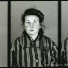 zdjęcie nr 76