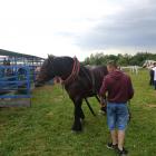 IMG_20210711_171007