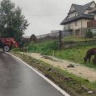 zdjęcie nr 21