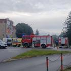Fotka nr 5 z 14