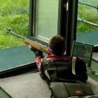 Fotka nr 4 z 14