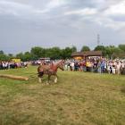 zdjęcie nr 11