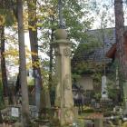 zdjęcie nr 7