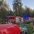 Fotka nr 2 z 15