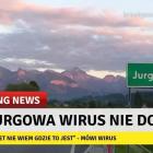 zdjęcie nr 12