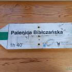 Fotka nr 0 z 11