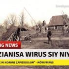 zdjęcie nr 11