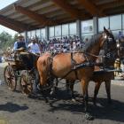 zdjęcie nr 200