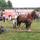 zdjęcie nr 10