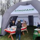 zdjęcie nr 11