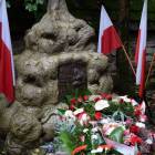 zdjęcie nr 14