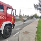 Fotka nr 3 z 8