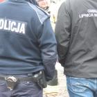 zdjęcie nr 102