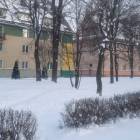 Fotka nr 4 z 6