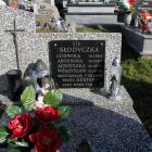 zdjęcie nr 14