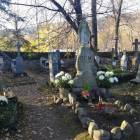 zdjęcie nr 56