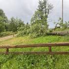 zdjęcie nr 9
