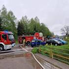 zdjęcie nr 8