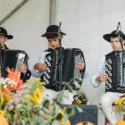 zdjęcie nr 11