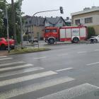 Fotka nr 2 z 12