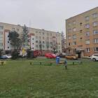 Fotka nr 4 z 7