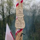 zdjęcie nr 13
