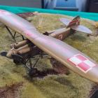 Fotka nr 2 z 21