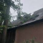 zdjęcie nr 11