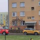 Fotka nr 1 z 7