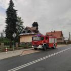 Fotka nr 3 z 13