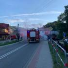 Fotka nr 2 z 12