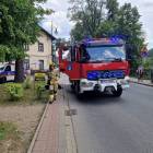 Fotka nr 1 z 2