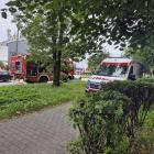 Fotka nr 1 z 6