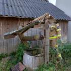 Fotka nr 1 z 12
