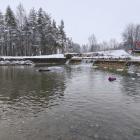 zdjęcie nr 45