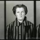 Fotka nr 4 z 81
