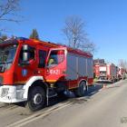 Fotka nr 5 z 13